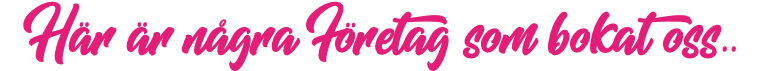 Här är några Företag som bokat oss..